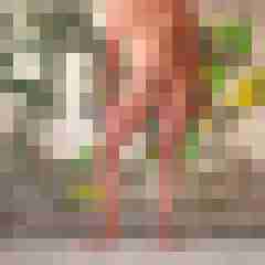 doline