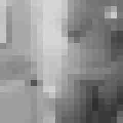 arschstute