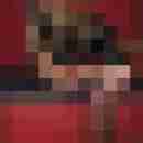 TV_Strapsstute