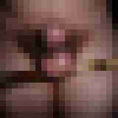 exib1