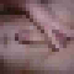 exib1
