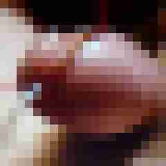 exib1