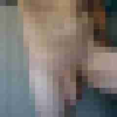 DeinBiDiener