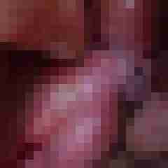 exib1