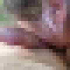 exib1