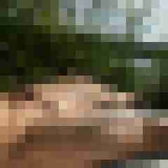 ruttish