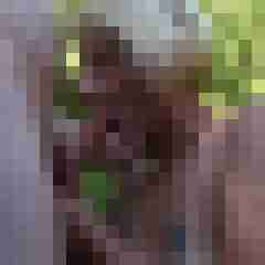 picturefreak