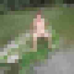 werter6