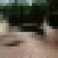 ruttish