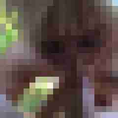 picturefreak