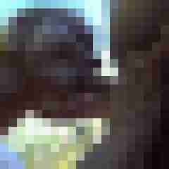 picturefreak