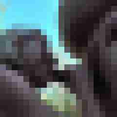 picturefreak