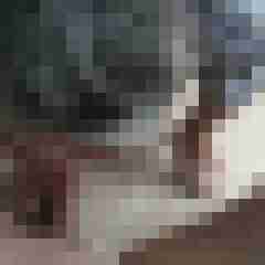paarlustvoll07552
