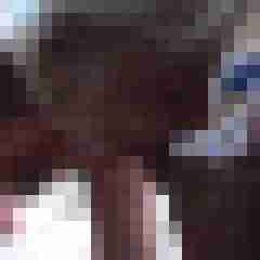 picturefreak