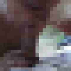 picturefreak