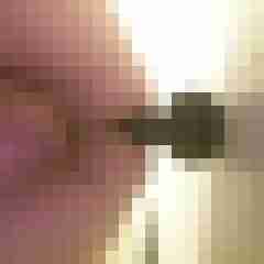 flexi49