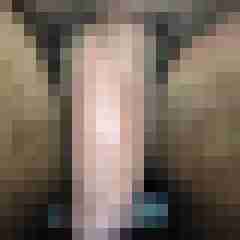 eurotester