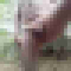 exib1