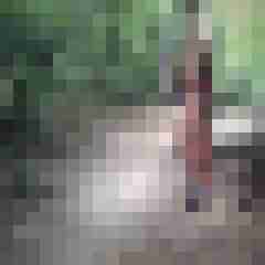 stierodin53