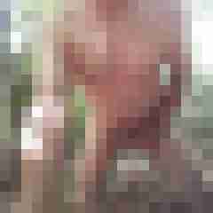 exib1