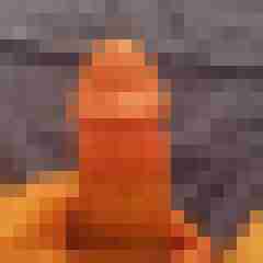 mikefmuc