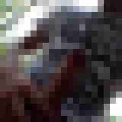 geilerboyx2