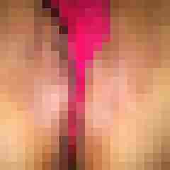 zendee01
