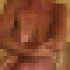Timg