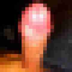 TomGriep