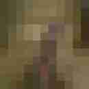 hamma_83