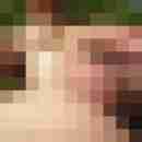 hansl_hans