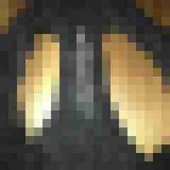 bartomania06