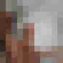 Hengst006