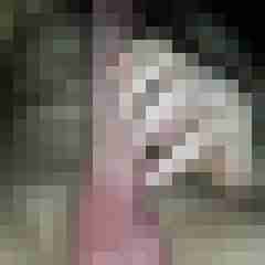Spontan77