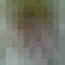 sanne1972