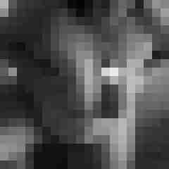 arschstute