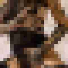 Phorus