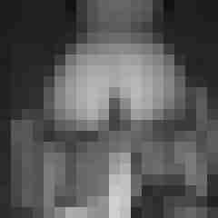 pichunters