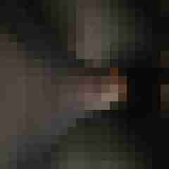 Brains38a