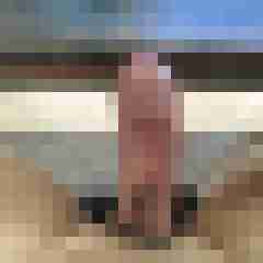 kampe
