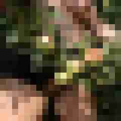 8 Bilder von Ingo55