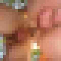 robertbilive