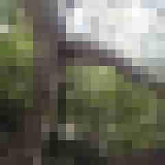 exib1