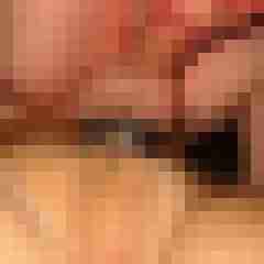 robertbilive