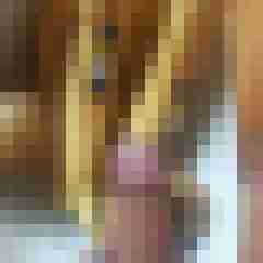 st_bernard_69