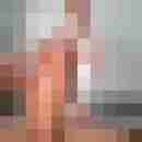 schatz2013