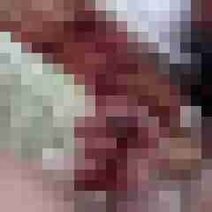 picturefreak