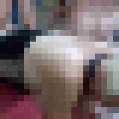 picturefreak