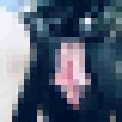 signothetimes