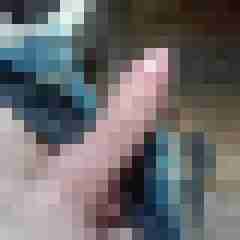 noctolus